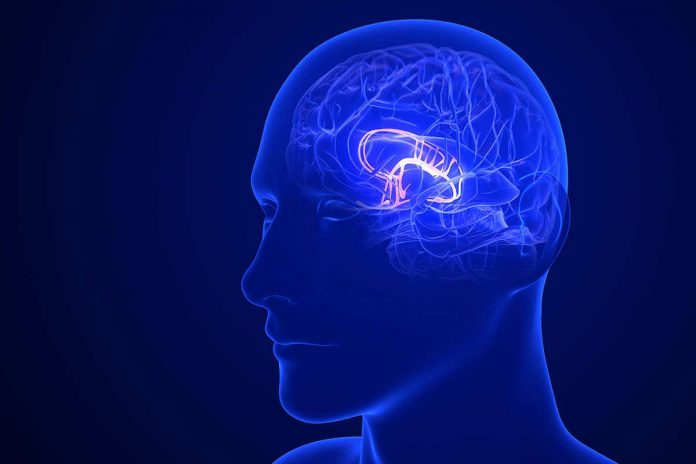 HamaraTimes.com | People experiencing a migraine climbed inside an MRI to find out why