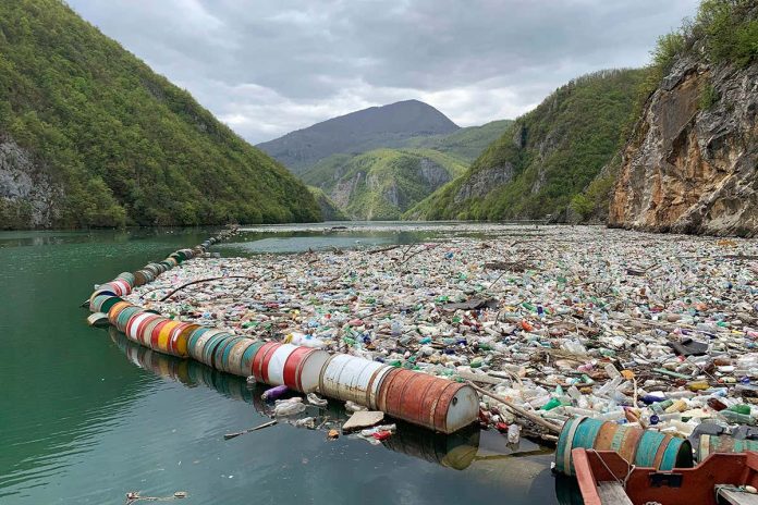 HamaraTimes.com | Microplastics left in water are more easily absorbed by mouse cells