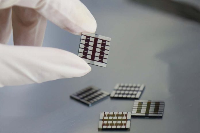 HamaraTimes.com | Chemical that makes chilli peppers spicy boosts solar panel cells