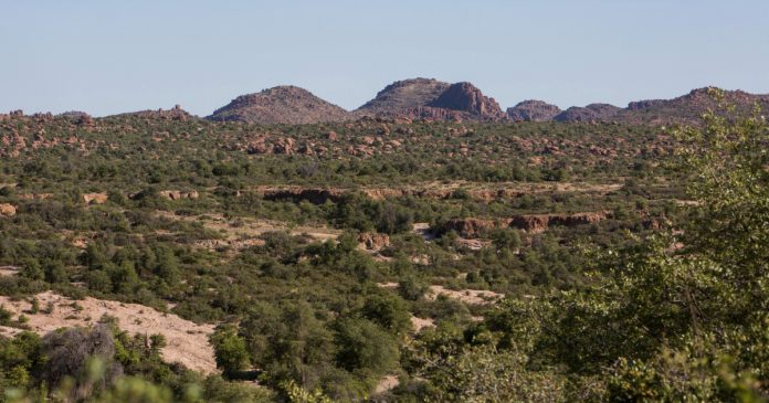 HamaraTimes.com | ‘Stop this destructive giveaway’: Fight against US mine picks up | Environment News
