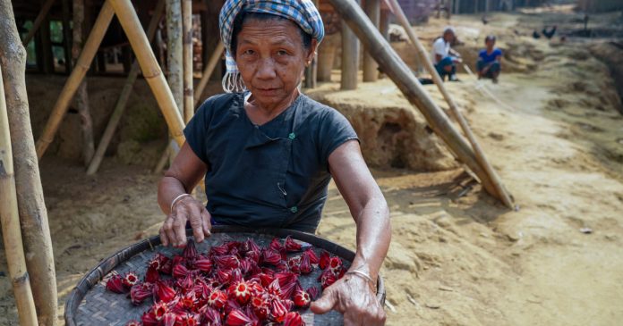 HamaraTimes.com | In Pictures: Global warming forces Bangladeshi tribals to migrate | Bangladesh News