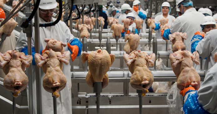 HamaraTimes.com | Liquid nitrogen leak at US Georgia poultry plant kills 6 | Workers' Rights News