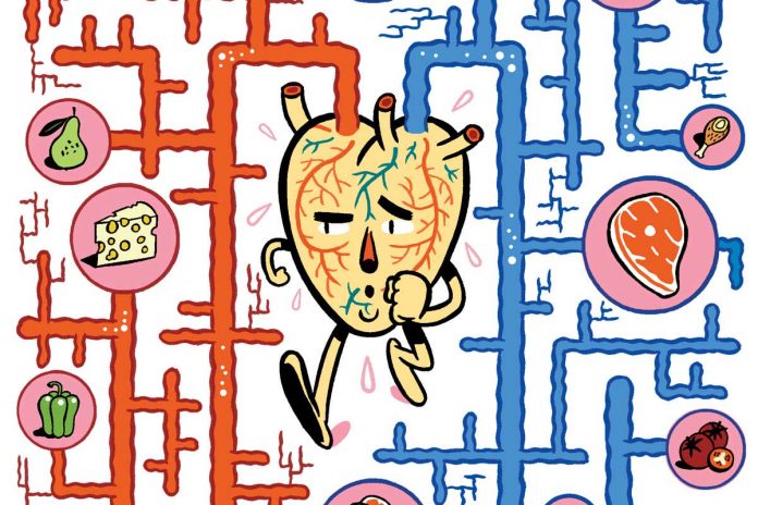 HamaraTimes.com | Low-carb diets: An easy way to lose weight or recipe for heart attack?