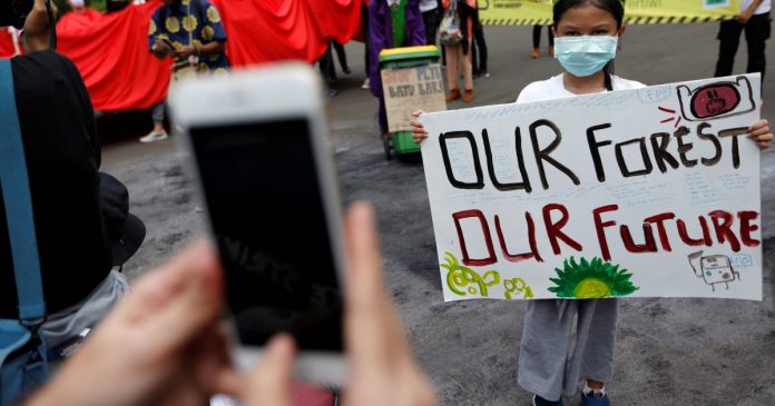 HamaraTimes.com | People’s Climate Vote: Majority sees climate change as emergency | Climate Change News