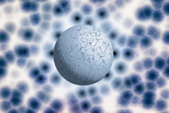HamaraTimes.com | Why neutrinos are the strangest particles in the Standard Model