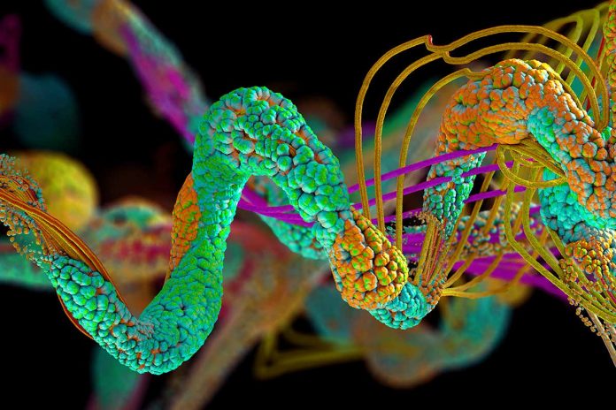 HamaraTimes.com | The predictions of DeepMind’s latest AI could revolutionise medicine