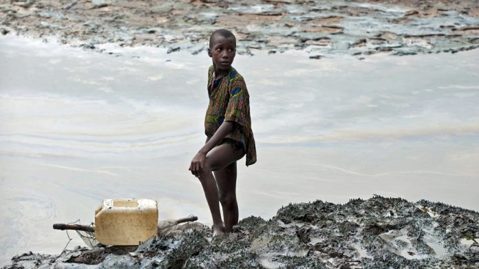 HamaraTimes.com | Nigerian farmers hail Shell ruling, but future remains uncertain | Business and Economy News
