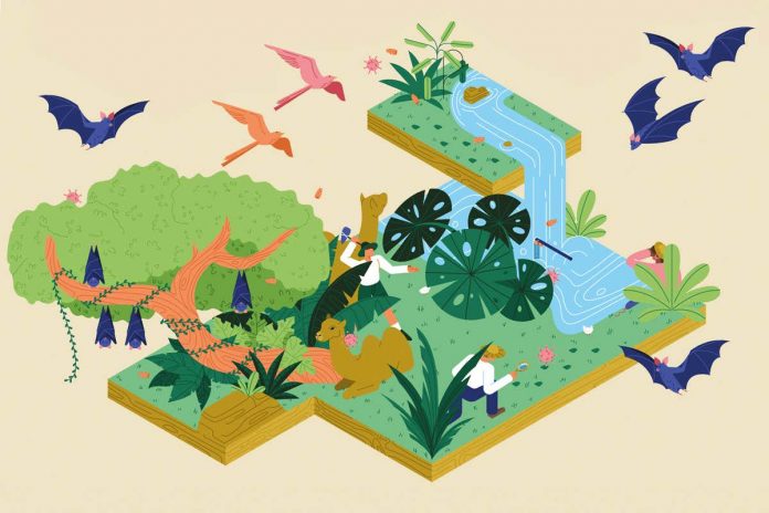 HamaraTimes.com | The race to find and stop viruses that could cause the next pandemic