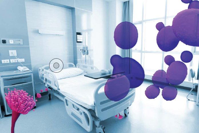 HamaraTimes.com | The other superbugs: Killer fungi are the threat we need to act on now