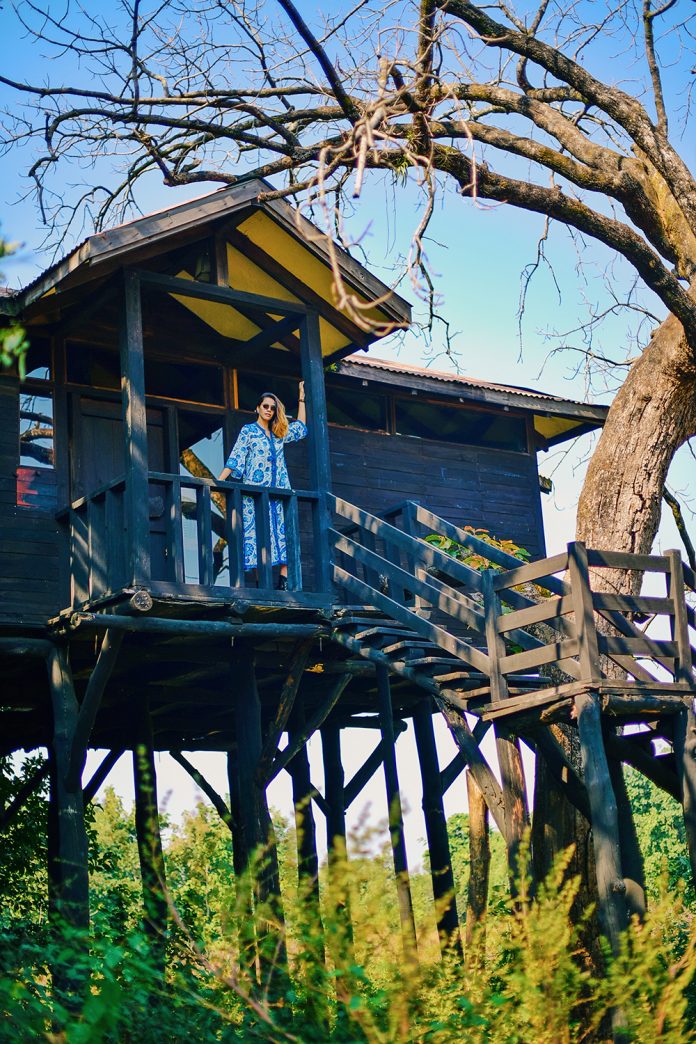 HamaraTimes.com | Pench Tree Lodge | Pugdundee Safaris