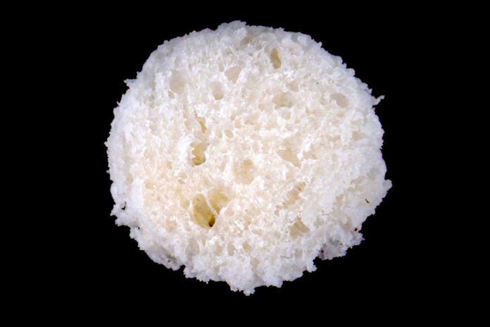 HamaraTimes.com | Home baking frenzy inspires tissue scaffold for growing muscle