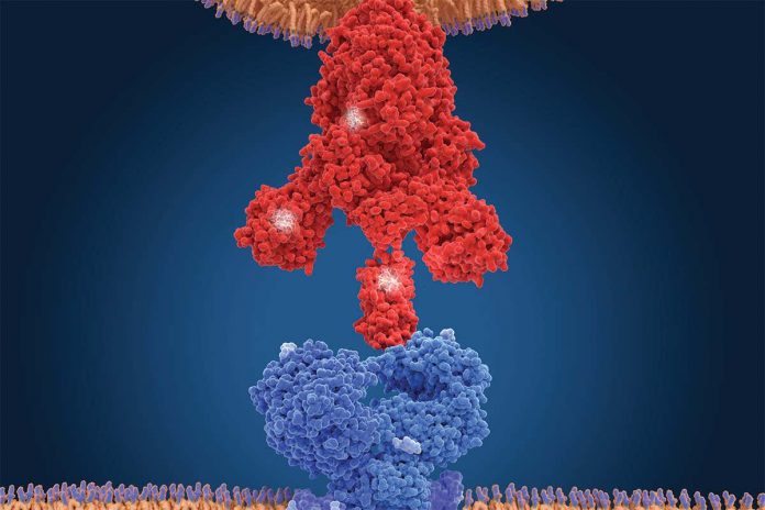 HamaraTimes.com | How worried should we be about the new coronavirus variants?