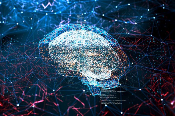 HamaraTimes.com | Video game graphics cards can simulate monkey brains on the cheap