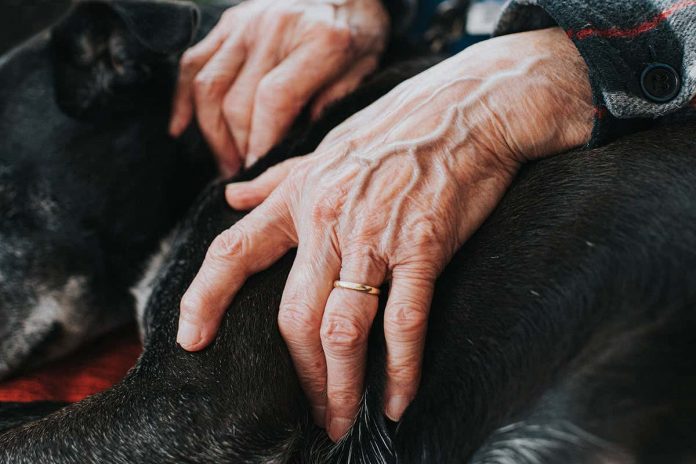 HamaraTimes.com | AI can use the veins on your hand like fingerprints to identify you
