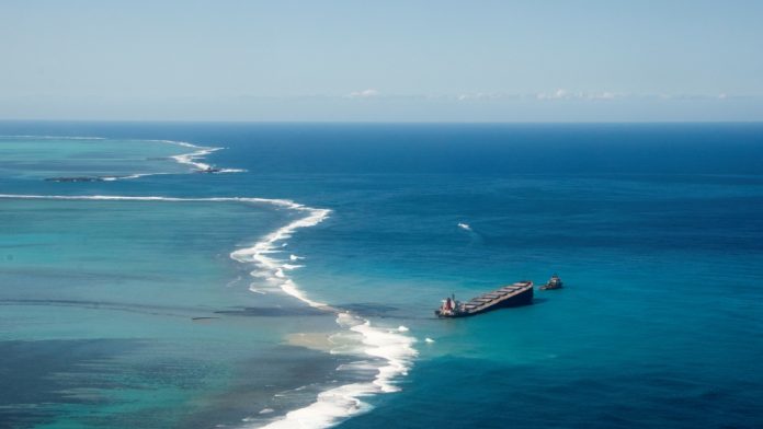 HamaraTimes.com | The devastation of the Mauritius oil spill is still unaddressed | Opinions News