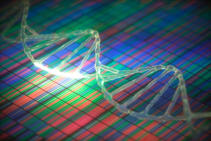 HamaraTimes.com | Chip-based DNA testing wrong more than right for very rare variants