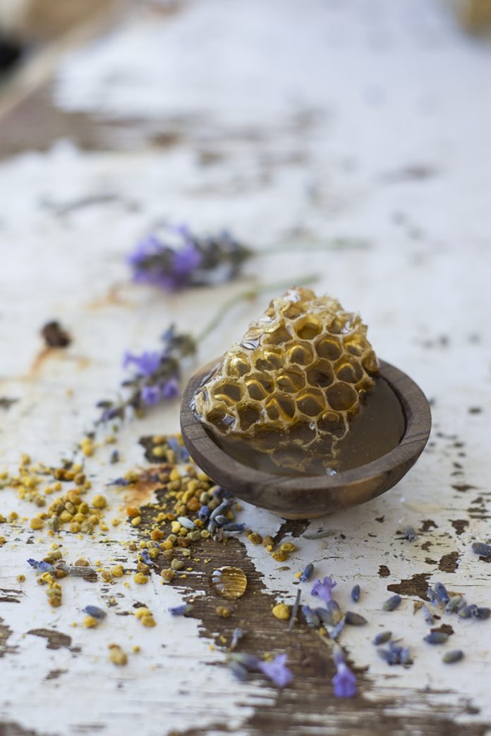 HamaraTimes.com | Food for thought…honey