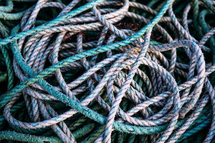 HamaraTimes.com | Mathematician makes breakthrough on 100-year-old problem about knots