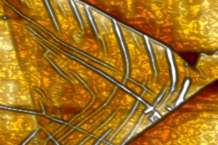 HamaraTimes.com | Wrinkling atom-thin layers of carbon could make tiniest chips yet