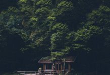 HamaraTimes.com | Small Yacht Market Affected by the Fulminant Slashed Investments HamaraTimes.com | Small Yacht Market Affected by the Fulminant Slashed Investments