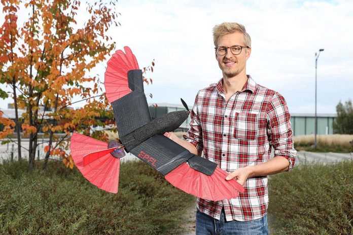 HamaraTimes.com | Hawk-inspired robot with movable wings is an agile long-distance flyer