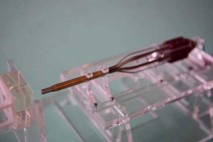 HamaraTimes.com | Surgical device inspired by parasitic wasps could extract bits of you