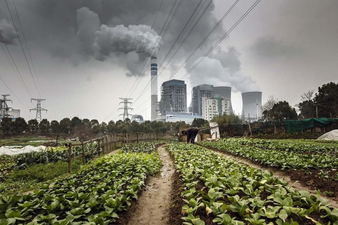 HamaraTimes.com | China’s 2060 net-zero goal needs large-scale negative emissions tech