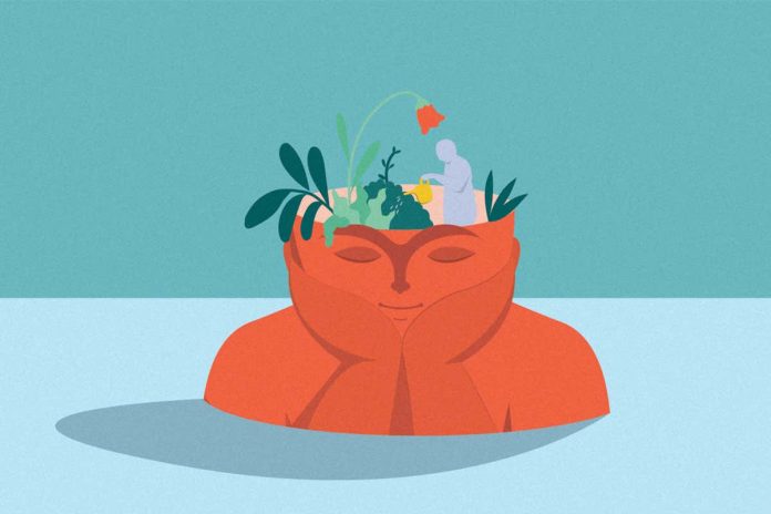HamaraTimes.com | Does being around plants truly improve your happiness and well-being?