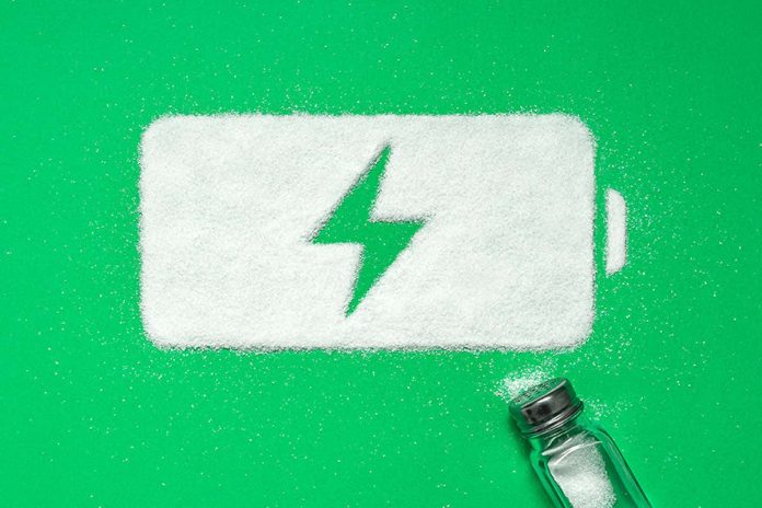 HamaraTimes.com | We're running out of lithium for batteries – can we use salt instead?