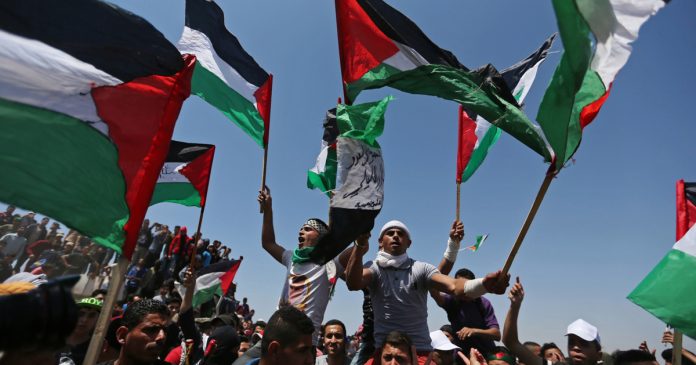 HamaraTimes.com | Palestinian rights groups urge swift action after ICC ruling | ICC News