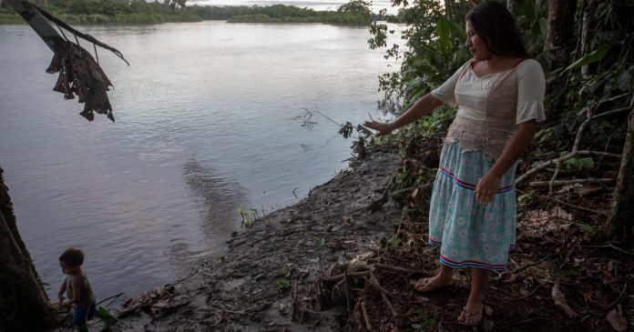 HamaraTimes.com | How will Ecuador’s elections affect the future of the Amazon? | Environment News