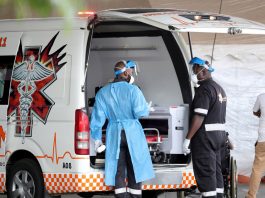 HamaraTimes.com | New COVID-19 variants explained in 500 words | Coronavirus pandemic News