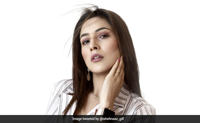 HamaraTimes.com | Shehnaaz Gill Looks Adorable After Doing Her Makeup Actress Photo Winning Heart - शहनाज गिल ने किया खुद का ऐसा मेकअप, Photo शेयर बोलीं
