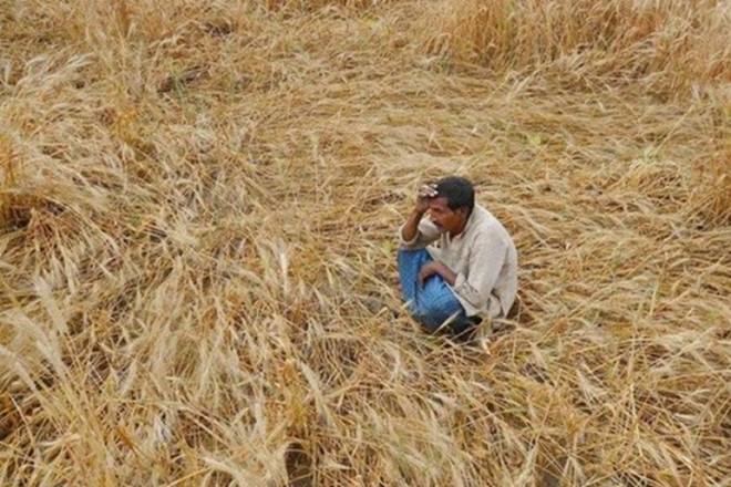 यूपी ने लगभग 5 लाख बाढ़ प्रभावित किसानों के लिए ₹ 160 करोड़ जारी किए