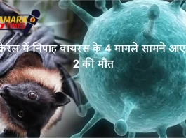 केरल में निपाह वायरस के 4 मामले सामने आए