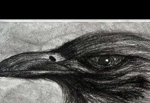 HamaraTimes.com | Major Network is Anouncing Another Modelling TV Show This Fall Merakii Art House Presents "Spectrum"