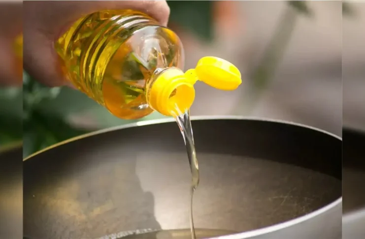 'Microplastic pakode': उबलते तेल में प्लास्टिक