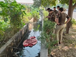 Noida में महिला का बिना सिर और हाथों वाला शव मिला