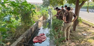 Noida में महिला का बिना सिर और हाथों वाला शव मिला Noida में महिला का बिना सिर और हाथों वाला शव मिला