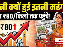 Sugar के दामों में अचानक आई तेजी का क्या है राज?