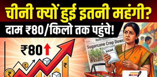 HamaraTimes.com | Sugar के दामों में अचानक आई तेजी का क्या है राज? Sugar के दामों में अचानक आई तेजी का क्या है राज?