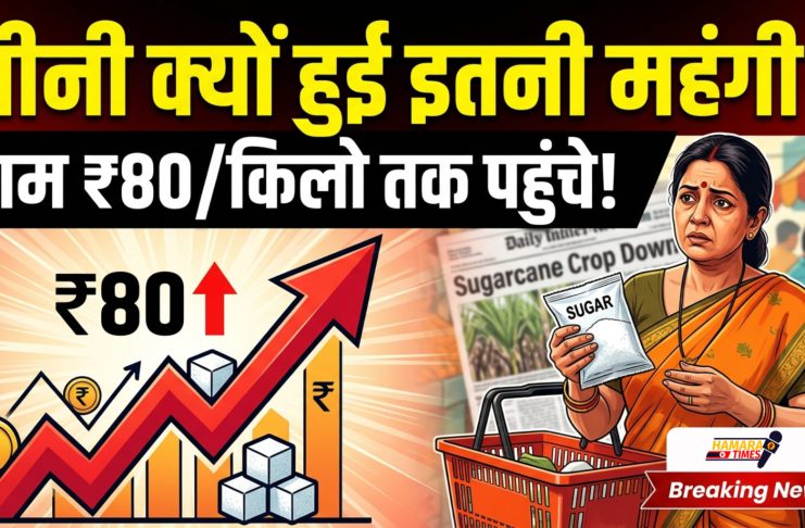 Sugar के दामों में अचानक आई तेजी का क्या है राज?